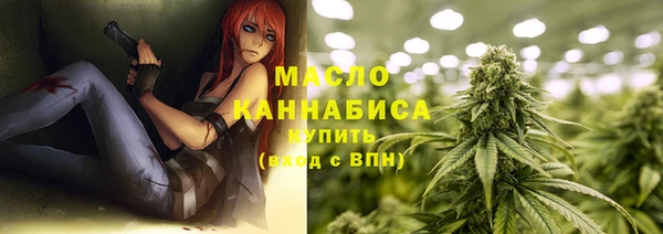 винт Няндома