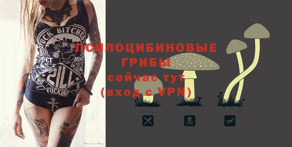 соль курить ск Нязепетровск