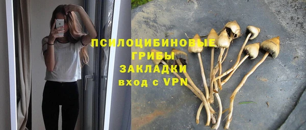 СК Новосибирск